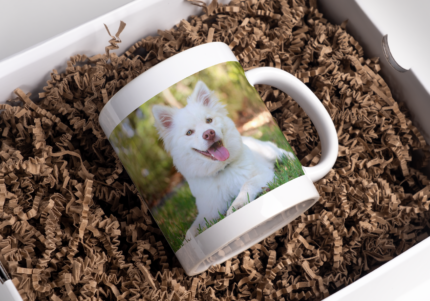 Printed Ceramic Mug | Coffee Mug | Tea Mug | Milk Mug | Designer Mug | 330 ml, Microwave & Dishwasher Safe | Mug for Kids | Mug for Friend, Birthday Gift